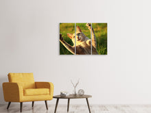 Laden Sie das Bild in den Galerie-Viewer, Leinwandbild 3-teilig Zeig die Krallen!