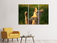 Laden Sie das Bild in den Galerie-Viewer, Leinwandbild 3-teilig Katzen Spiel