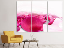 Laden Sie das Bild in den Galerie-Viewer, Leinwandbild 3-teilig Rosenblätter in pink