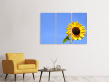 Laden Sie das Bild in den Galerie-Viewer, Leinwandbild 3-teilig Sonnenblume mit blauem Himmel