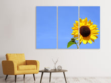 Laden Sie das Bild in den Galerie-Viewer, Leinwandbild 3-teilig Sonnenblume mit blauem Himmel