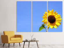 Laden Sie das Bild in den Galerie-Viewer, Leinwandbild 3-teilig Sonnenblume mit blauem Himmel