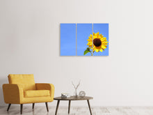 Laden Sie das Bild in den Galerie-Viewer, Leinwandbild 3-teilig Sonnenblume mit blauem Himmel