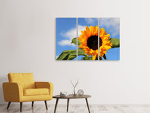 Laden Sie das Bild in den Galerie-Viewer, Leinwandbild 3-teilig Sonnenblume in der Blüte