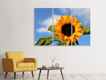 Laden Sie das Bild in den Galerie-Viewer, Leinwandbild 3-teilig Sonnenblume in der Blüte
