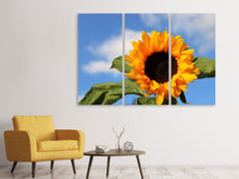 Laden Sie das Bild in den Galerie-Viewer, Leinwandbild 3-teilig Sonnenblume in der Blüte