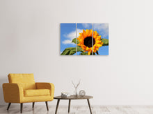Laden Sie das Bild in den Galerie-Viewer, Leinwandbild 3-teilig Sonnenblume in der Blüte