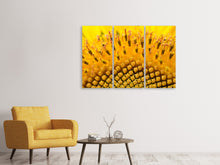 Laden Sie das Bild in den Galerie-Viewer, Leinwandbild 3-teilig Die Knospen der Sonnenblume in XXL