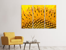 Laden Sie das Bild in den Galerie-Viewer, Leinwandbild 3-teilig Die Knospen der Sonnenblume in XXL