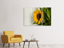 Laden Sie das Bild in den Galerie-Viewer, Leinwandbild 3-teilig Schöne Sonnenblume