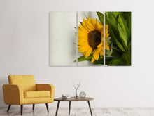 Laden Sie das Bild in den Galerie-Viewer, Leinwandbild 3-teilig Schöne Sonnenblume