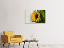 Laden Sie das Bild in den Galerie-Viewer, Leinwandbild 3-teilig Schöne Sonnenblume