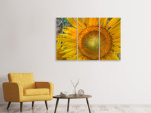 Laden Sie das Bild in den Galerie-Viewer, Leinwandbild 3-teilig Blütenstand einer Sonnenblume
