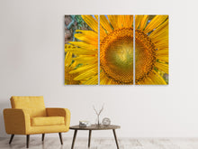 Laden Sie das Bild in den Galerie-Viewer, Leinwandbild 3-teilig Blütenstand einer Sonnenblume