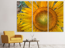 Laden Sie das Bild in den Galerie-Viewer, Leinwandbild 3-teilig Blütenstand einer Sonnenblume