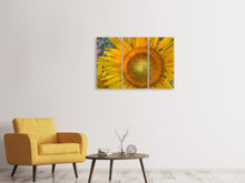Laden Sie das Bild in den Galerie-Viewer, Leinwandbild 3-teilig Blütenstand einer Sonnenblume