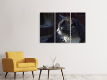 Laden Sie das Bild in den Galerie-Viewer, Leinwandbild 3-teilig Katzenkopf XL