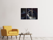 Laden Sie das Bild in den Galerie-Viewer, Leinwandbild 3-teilig Katzenkopf XL
