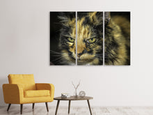 Laden Sie das Bild in den Galerie-Viewer, Leinwandbild 3-teilig Achtung Katze