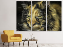 Laden Sie das Bild in den Galerie-Viewer, Leinwandbild 3-teilig Achtung Katze