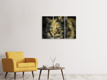 Laden Sie das Bild in den Galerie-Viewer, Leinwandbild 3-teilig Achtung Katze