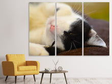 Laden Sie das Bild in den Galerie-Viewer, Leinwandbild 3-teilig Kuschelige Katze