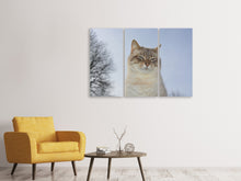 Laden Sie das Bild in den Galerie-Viewer, Leinwandbild 3-teilig Entspannte Katze in der Natur