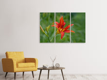 Laden Sie das Bild in den Galerie-Viewer, Leinwandbild 3-teilig Lilienblüte in der Natur