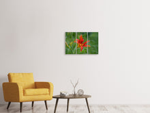 Laden Sie das Bild in den Galerie-Viewer, Leinwandbild 3-teilig Lilienblüte in der Natur