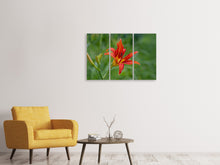 Laden Sie das Bild in den Galerie-Viewer, Leinwandbild 3-teilig Lilienblüte in der Natur