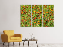 Laden Sie das Bild in den Galerie-Viewer, Leinwandbild 3-teilig Habichtskräuter