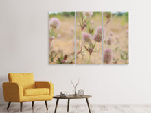 Laden Sie das Bild in den Galerie-Viewer, Leinwandbild 3-teilig Zarte Blumen