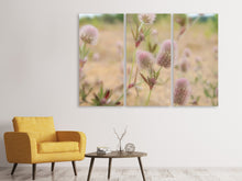 Laden Sie das Bild in den Galerie-Viewer, Leinwandbild 3-teilig Zarte Blumen