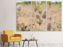 Laden Sie das Bild in den Galerie-Viewer, Leinwandbild 3-teilig Zarte Blumen