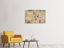 Laden Sie das Bild in den Galerie-Viewer, Leinwandbild 3-teilig Zarte Blumen