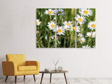 Laden Sie das Bild in den Galerie-Viewer, Leinwandbild 3-teilig XL Gänseblümchen