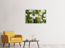 Laden Sie das Bild in den Galerie-Viewer, Leinwandbild 3-teilig XL Gänseblümchen
