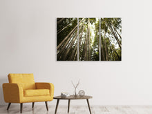 Laden Sie das Bild in den Galerie-Viewer, Leinwandbild 3-teilig Arashiyama Japan