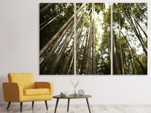 Laden Sie das Bild in den Galerie-Viewer, Leinwandbild 3-teilig Arashiyama Japan