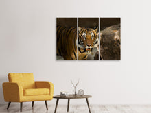 Laden Sie das Bild in den Galerie-Viewer, Leinwandbild 3-teilig Sibirischer Tiger