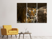Laden Sie das Bild in den Galerie-Viewer, Leinwandbild 3-teilig Sibirischer Tiger