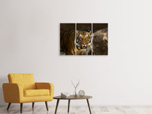 Laden Sie das Bild in den Galerie-Viewer, Leinwandbild 3-teilig Sibirischer Tiger