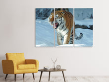 Laden Sie das Bild in den Galerie-Viewer, Leinwandbild 3-teilig Tiger im Schnee