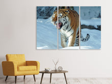 Laden Sie das Bild in den Galerie-Viewer, Leinwandbild 3-teilig Tiger im Schnee