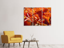 Laden Sie das Bild in den Galerie-Viewer, Leinwandbild 3-teilig Schönes Herbstlaub