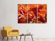 Laden Sie das Bild in den Galerie-Viewer, Leinwandbild 3-teilig Schönes Herbstlaub