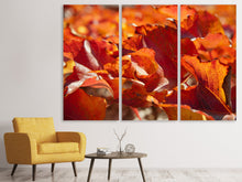 Laden Sie das Bild in den Galerie-Viewer, Leinwandbild 3-teilig Schönes Herbstlaub