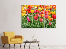 Laden Sie das Bild in den Galerie-Viewer, Leinwandbild 3-teilig Ein buntes Tulpenfeld