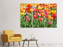 Laden Sie das Bild in den Galerie-Viewer, Leinwandbild 3-teilig Ein buntes Tulpenfeld
