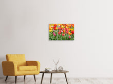 Laden Sie das Bild in den Galerie-Viewer, Leinwandbild 3-teilig Ein buntes Tulpenfeld